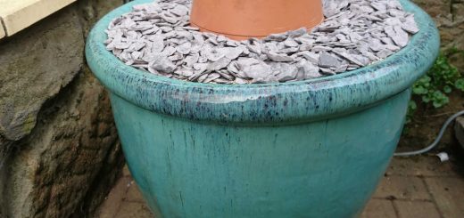 Glazed Tandoor pot