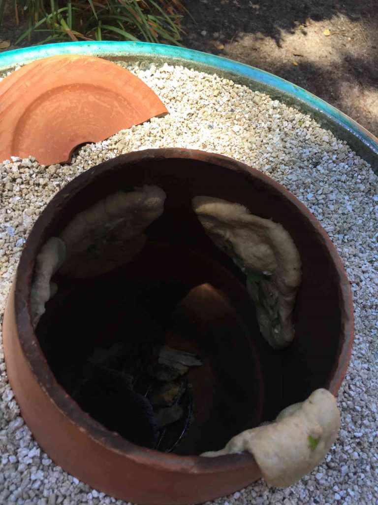 Naans cooking in the Tandoor