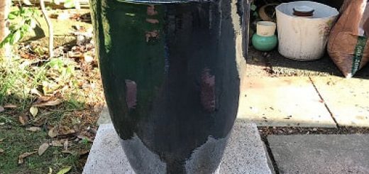 Sunil Patel Tandoor homemade Tandoor