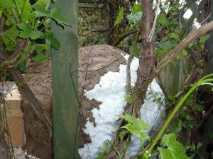 render over chicken wire 1