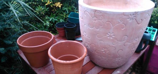 Pots sizes for Tandoor build