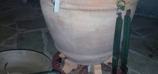 tandoor cooking